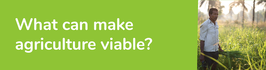 What can make Indian agriculture viable?